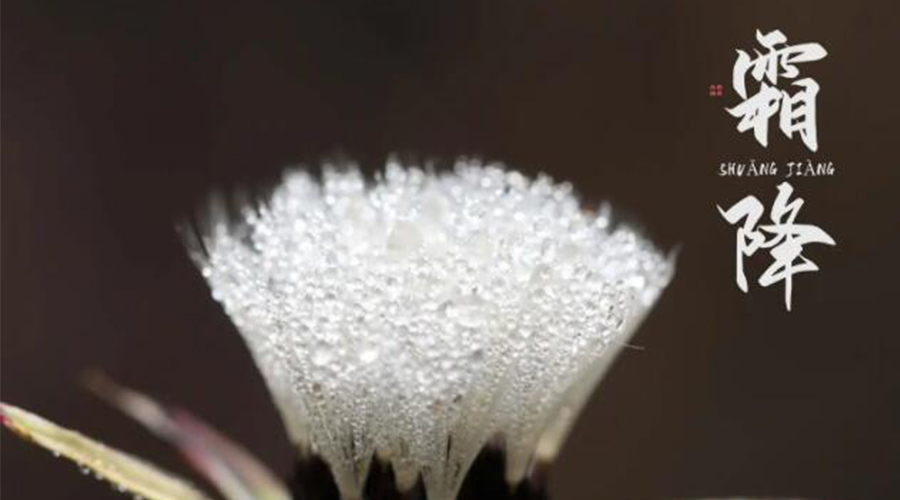 霜降時(shí)節(jié)！金環(huán)電器提醒大家要注意的事項(xiàng)