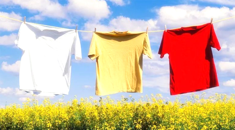 三伏天持續(xù)40天！金環(huán)電器提醒高溫天氣下晾曬衣物的弊端