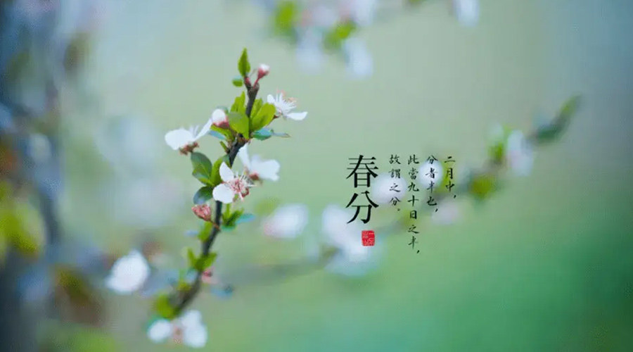 春分雨水多易生菌！金環(huán)電器提醒你衣物要注意處理